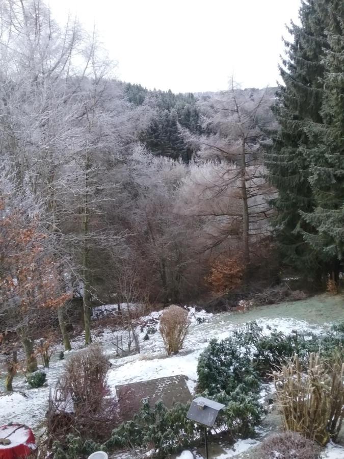 Perlenbachtal Lägenhet Monschau Exteriör bild