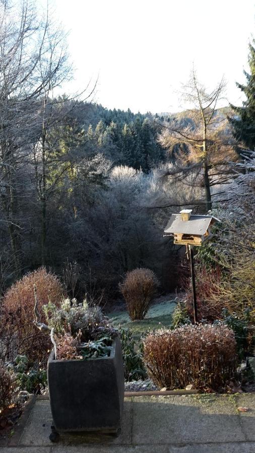 Perlenbachtal Lägenhet Monschau Exteriör bild