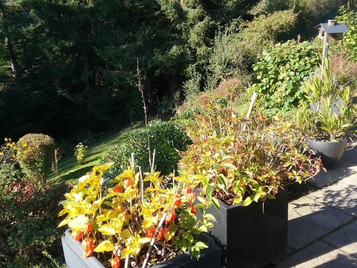 Perlenbachtal Lägenhet Monschau Exteriör bild