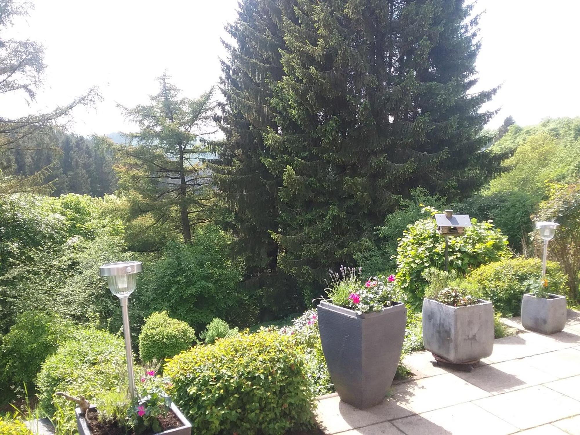 Perlenbachtal Lägenhet Monschau Exteriör bild