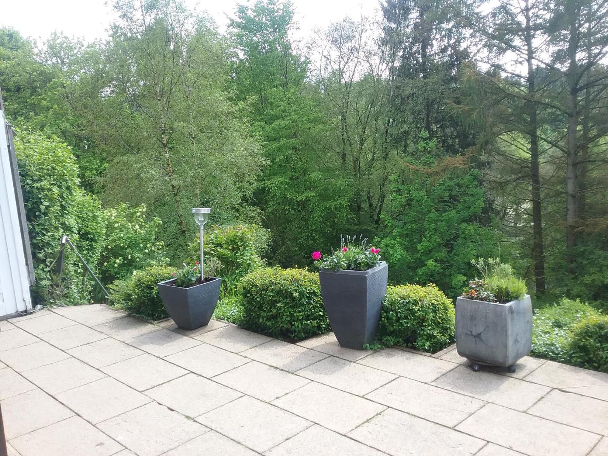 Perlenbachtal Lägenhet Monschau Exteriör bild